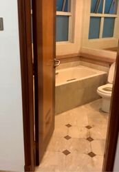 Sunshine Plaza (D7), Apartment #553229441